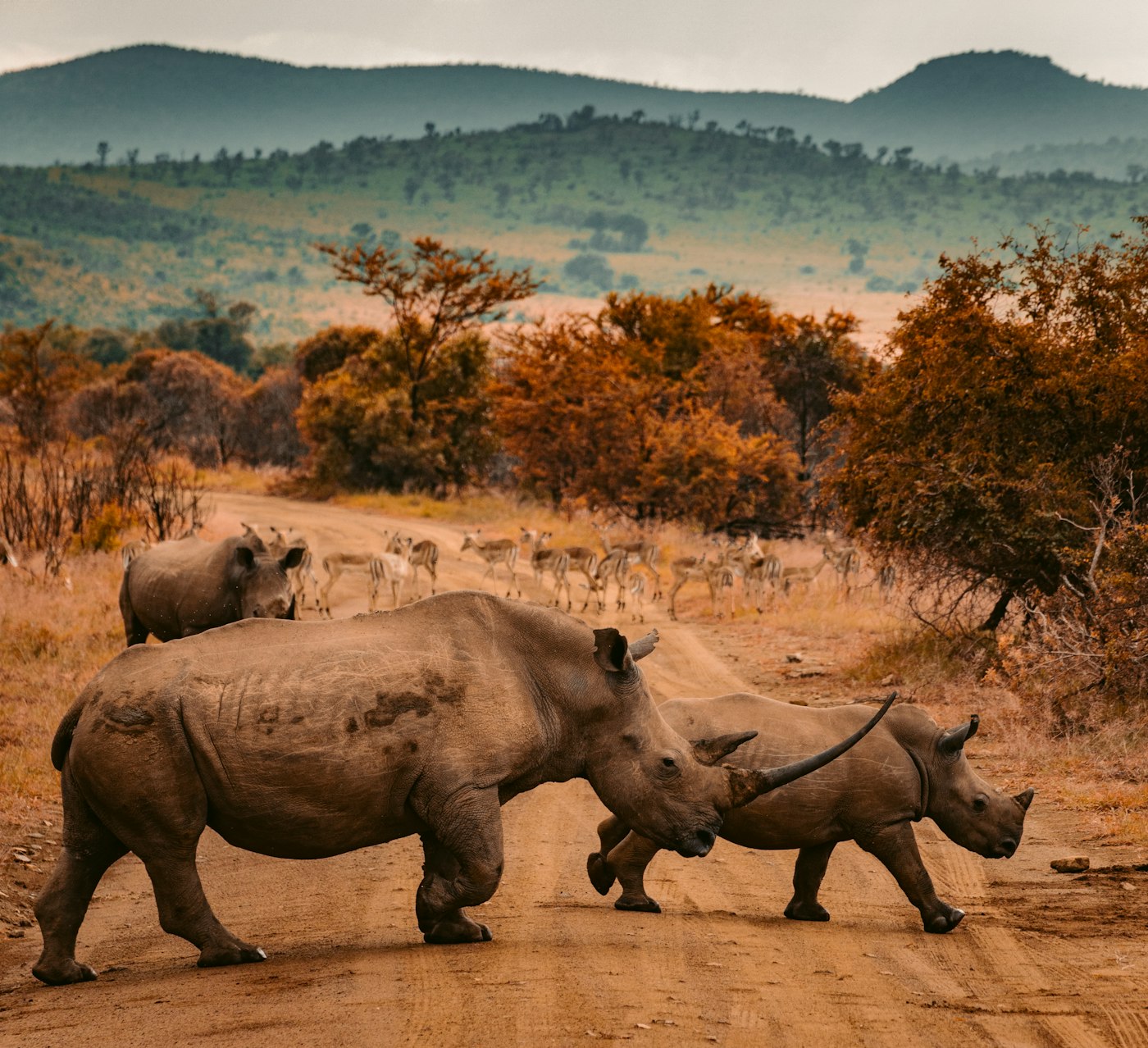 Serengeti, Tanzania